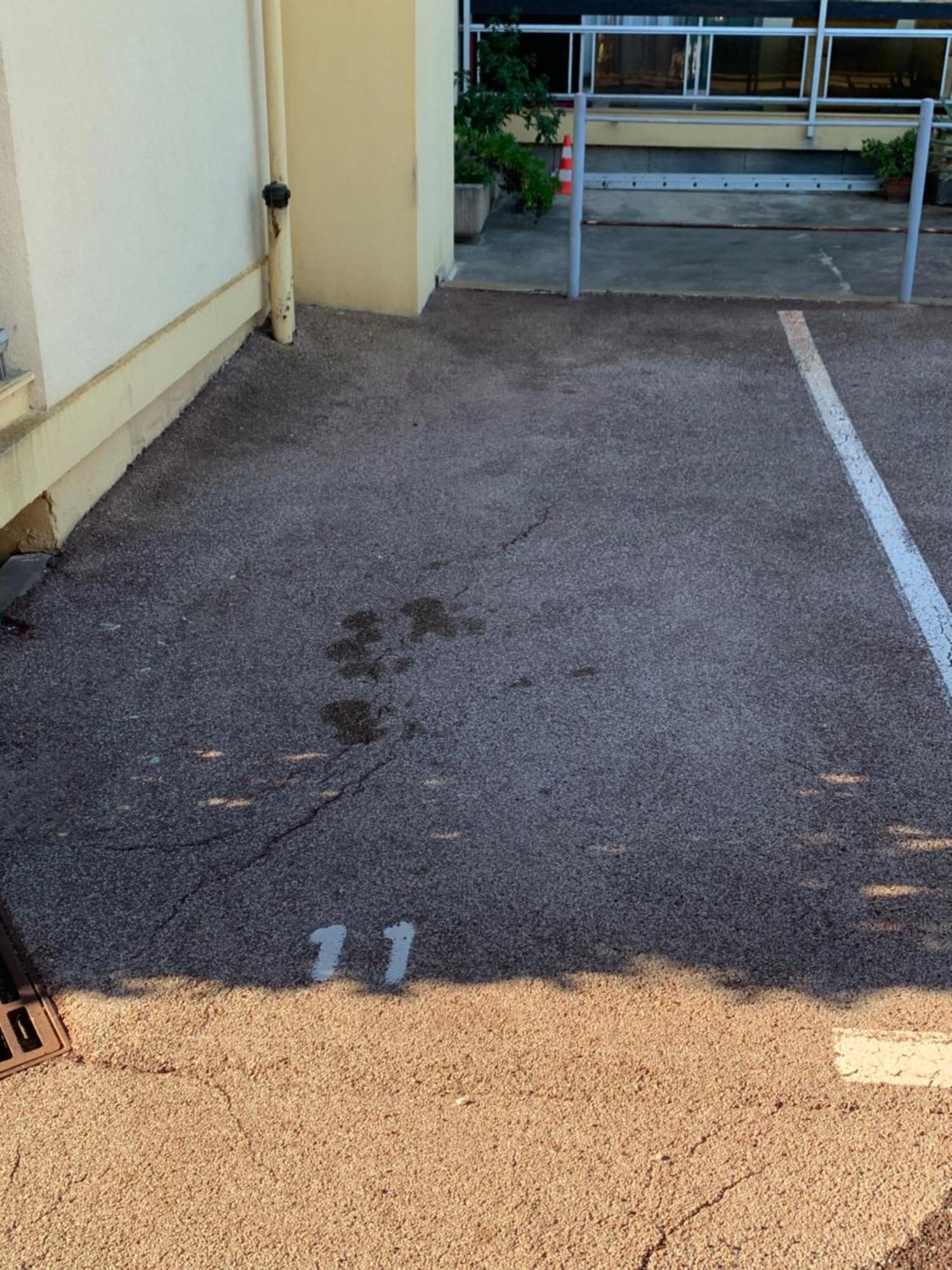 Le Grand Large Apartment Sainte-Maxime